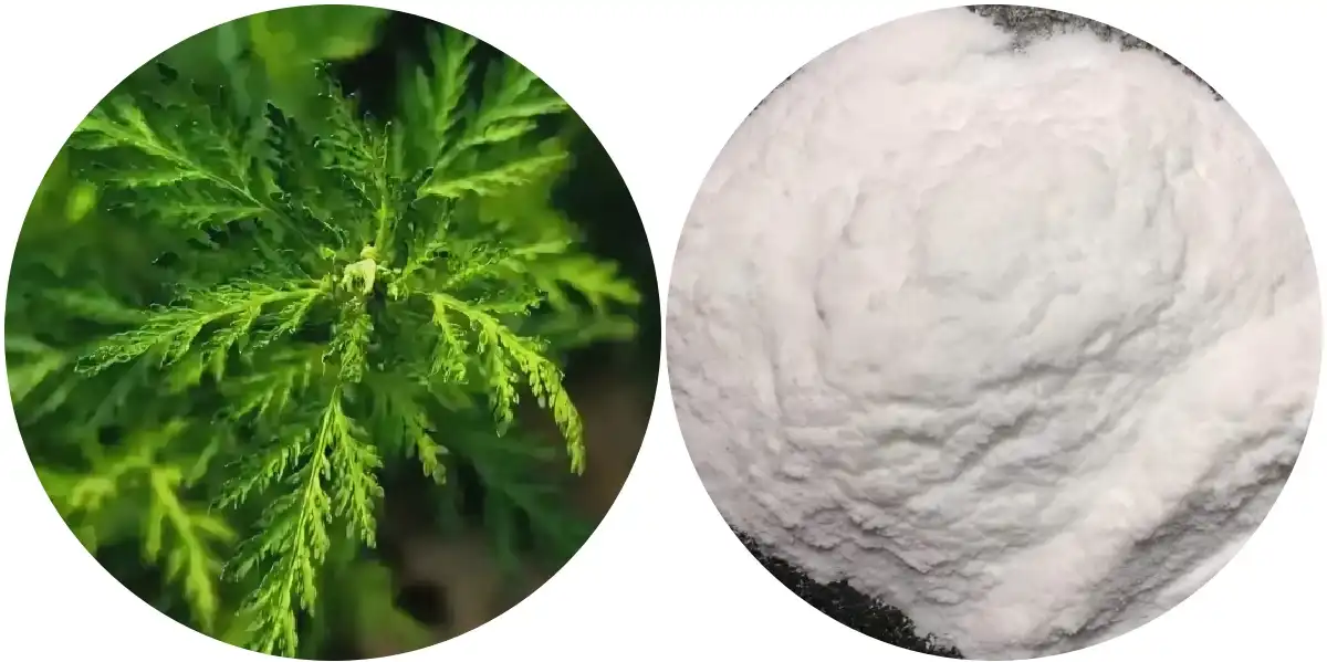 What makes Pure Artemisinin Powder effective as an antimalarial agent? 