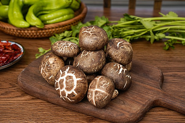 How can Shiitake Extract Powder aid gut health?