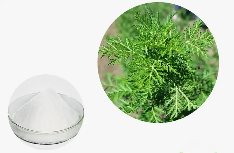 How pure should Pure Artemisinin Powder be for clinical use?