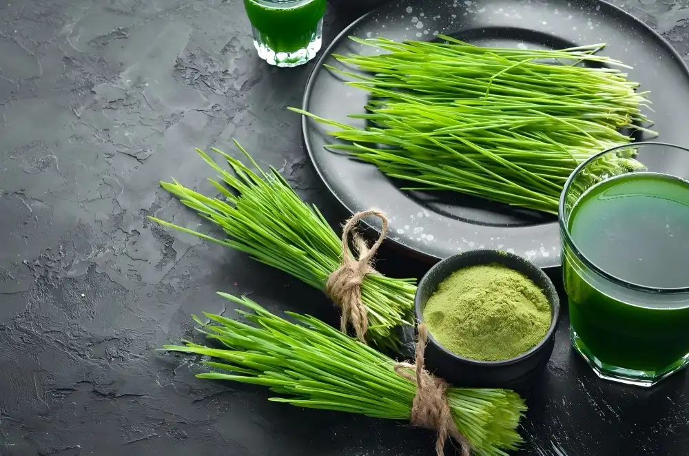 Why Choose Raw Wheat Grass Juice Powder for Supplements?