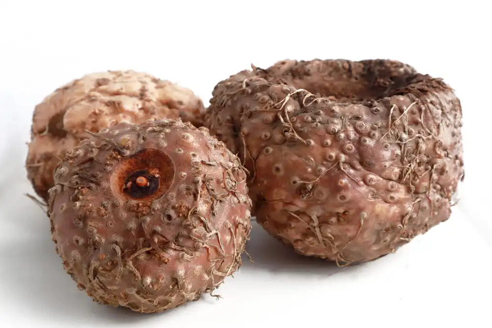 How to Choose the Best Pure Glucomannan Powder?