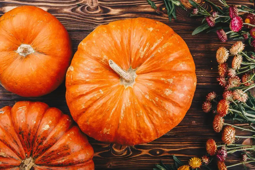 Does Pumpkin Seed Extract Improve Mood and Relaxation?