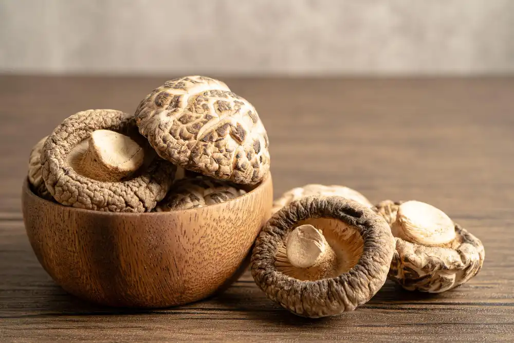 How does Shiitake Extract Powder improve skin radiance?
