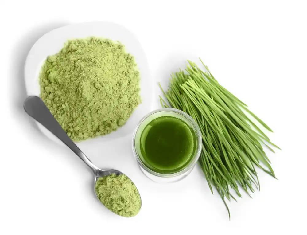 Raw Wheat Grass Juice Powder: What nutrients define its potency?