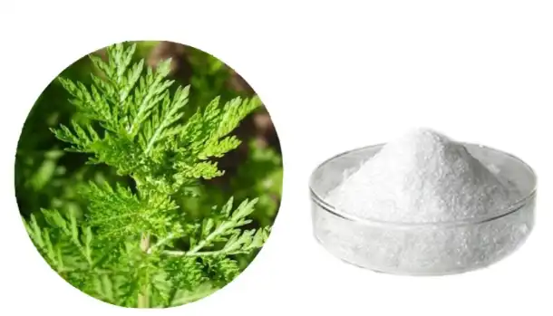 What therapeutic uses does Artemisinin Powder have beyond malaria? 