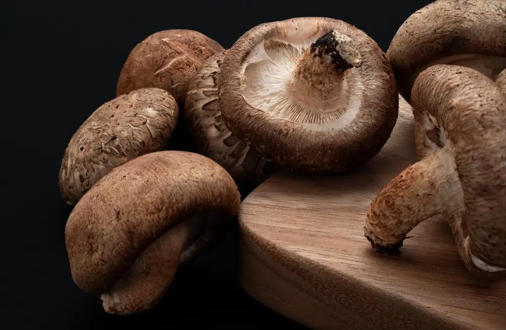 How does Shiitake Extract Powder contribute to nutrient density?