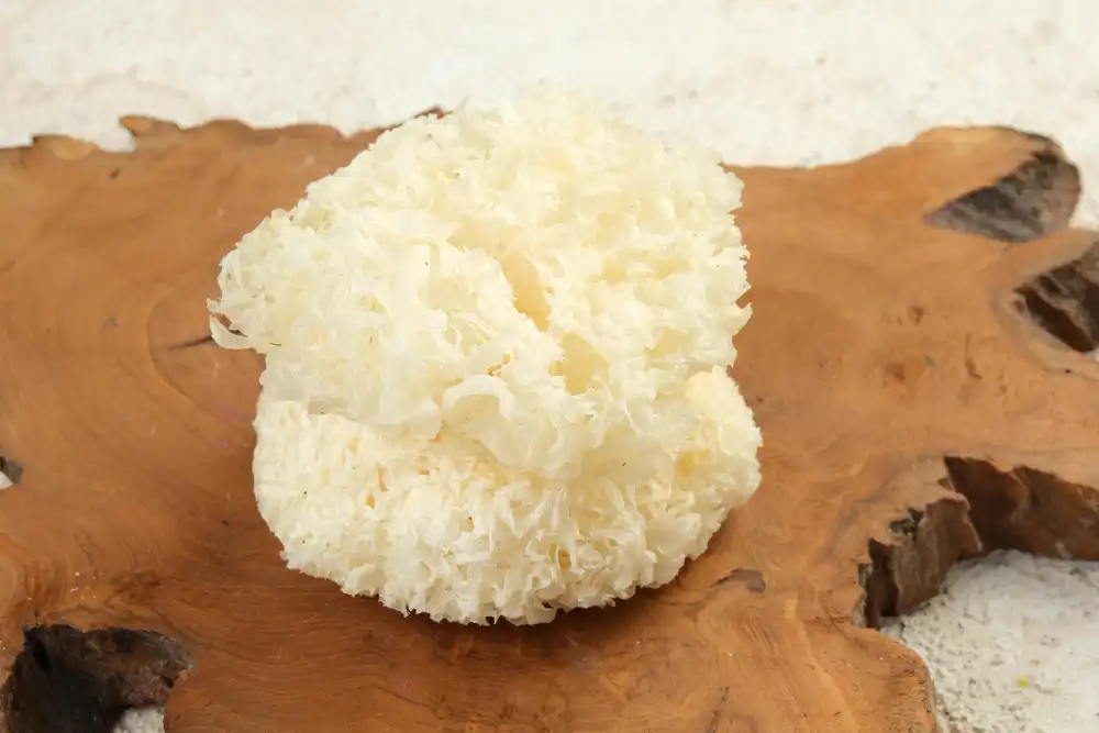 Tremella Polysaccharide Powder: Structure, Properties & Key Functions