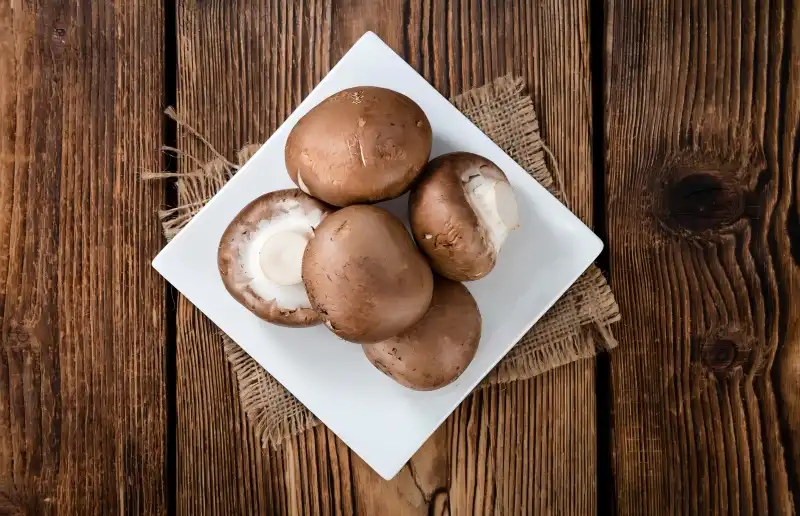 Lentinus Edodes Extract Powder import guide — what buyers should know?