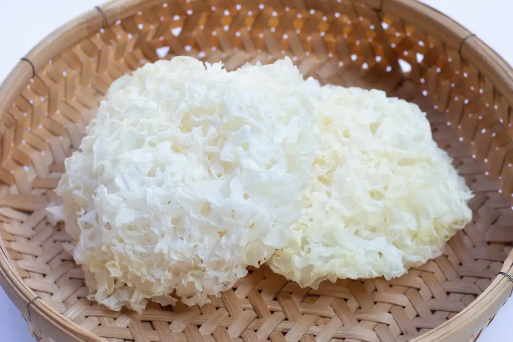 How Tremellan Powder Enhances Collagen and Skin Elasticity？