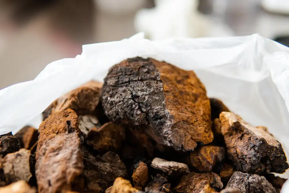 Top Organic Chaga Extract Options for Teas and Supplements