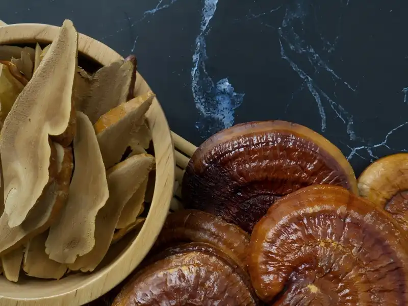 Ganoderma Lucidum Extract Powder Premium Source of Beta-Glucans for Immune Support