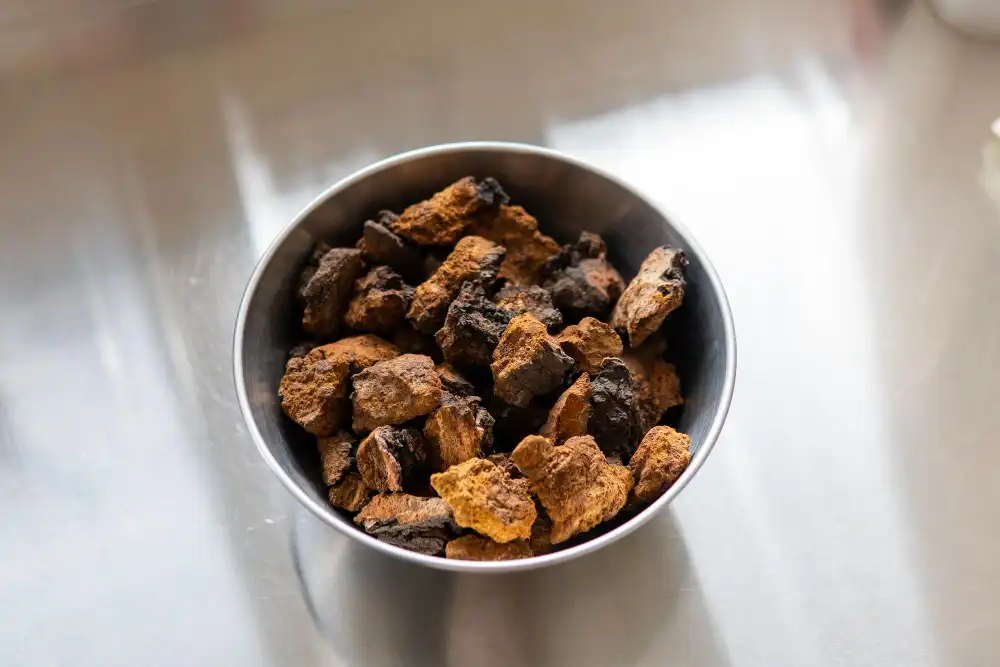 Why Organic Chaga Extract Is a Powerful Superfood？