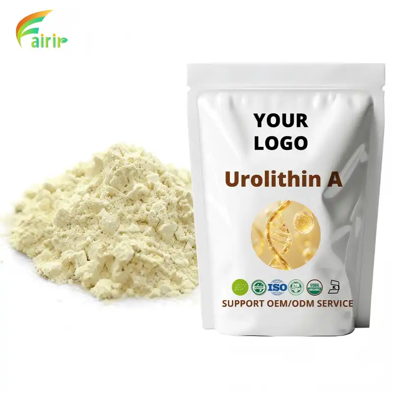 Urolithin A Powder for Immune System Support: True Benefits?
