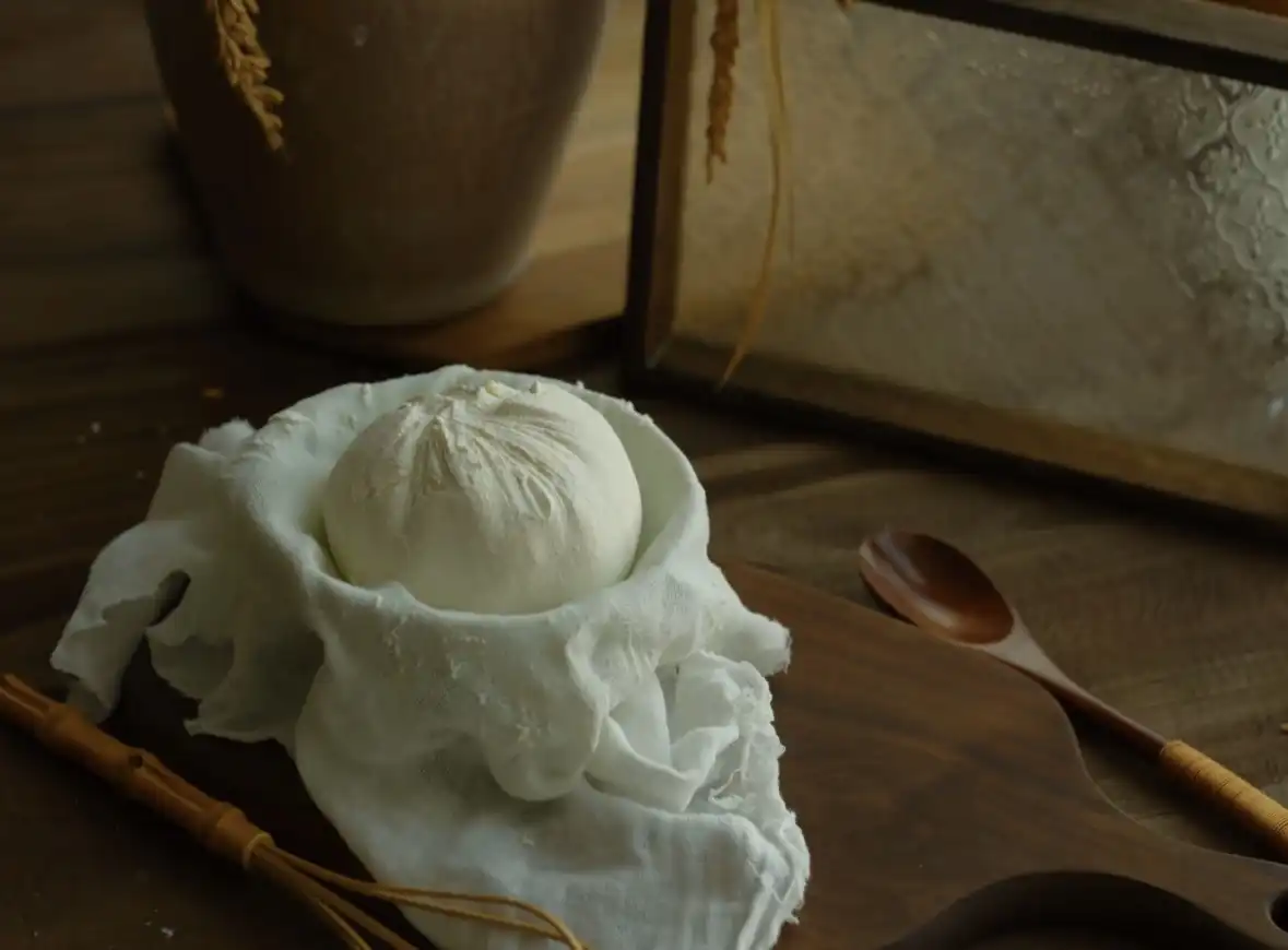 Probiotics, your gut's best friend, are always by your side: Lactobacillus fermentation builds a strong defense for your health.