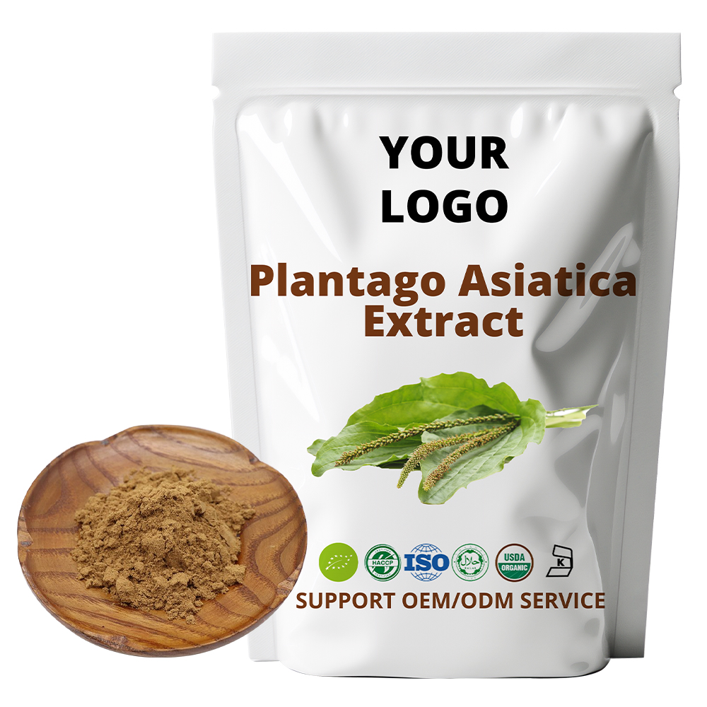 Plantago Asiatica Extract