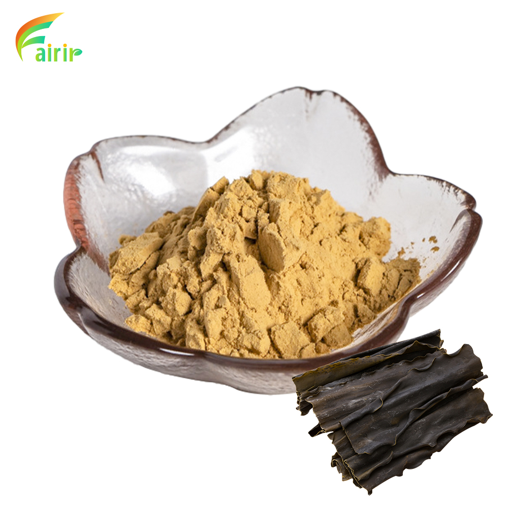 Kelp Extract Powder