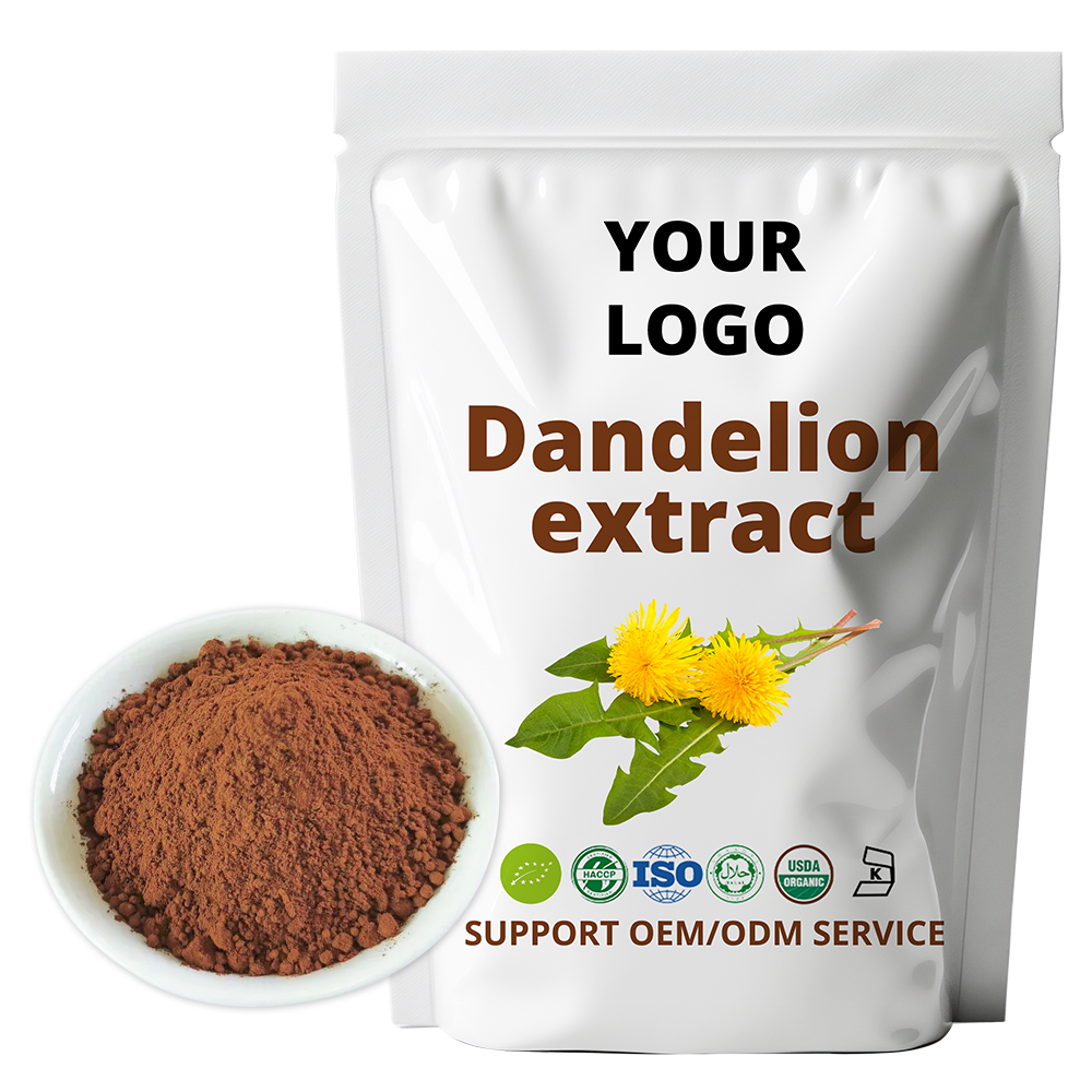 Dandelion Extract Powder