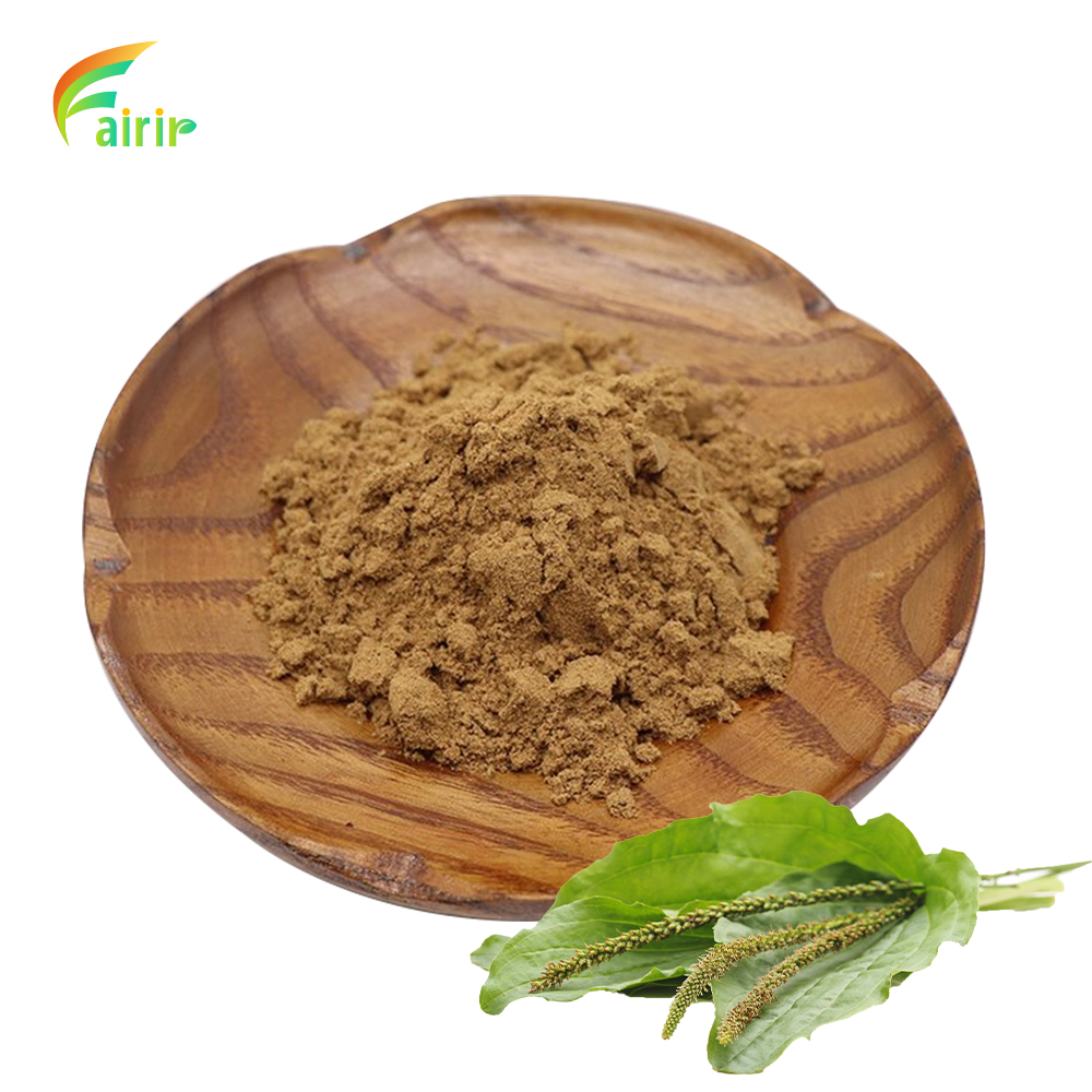 Plantago Lanceolata Leaf Extract Plantago Lanceolata Leaf Extract