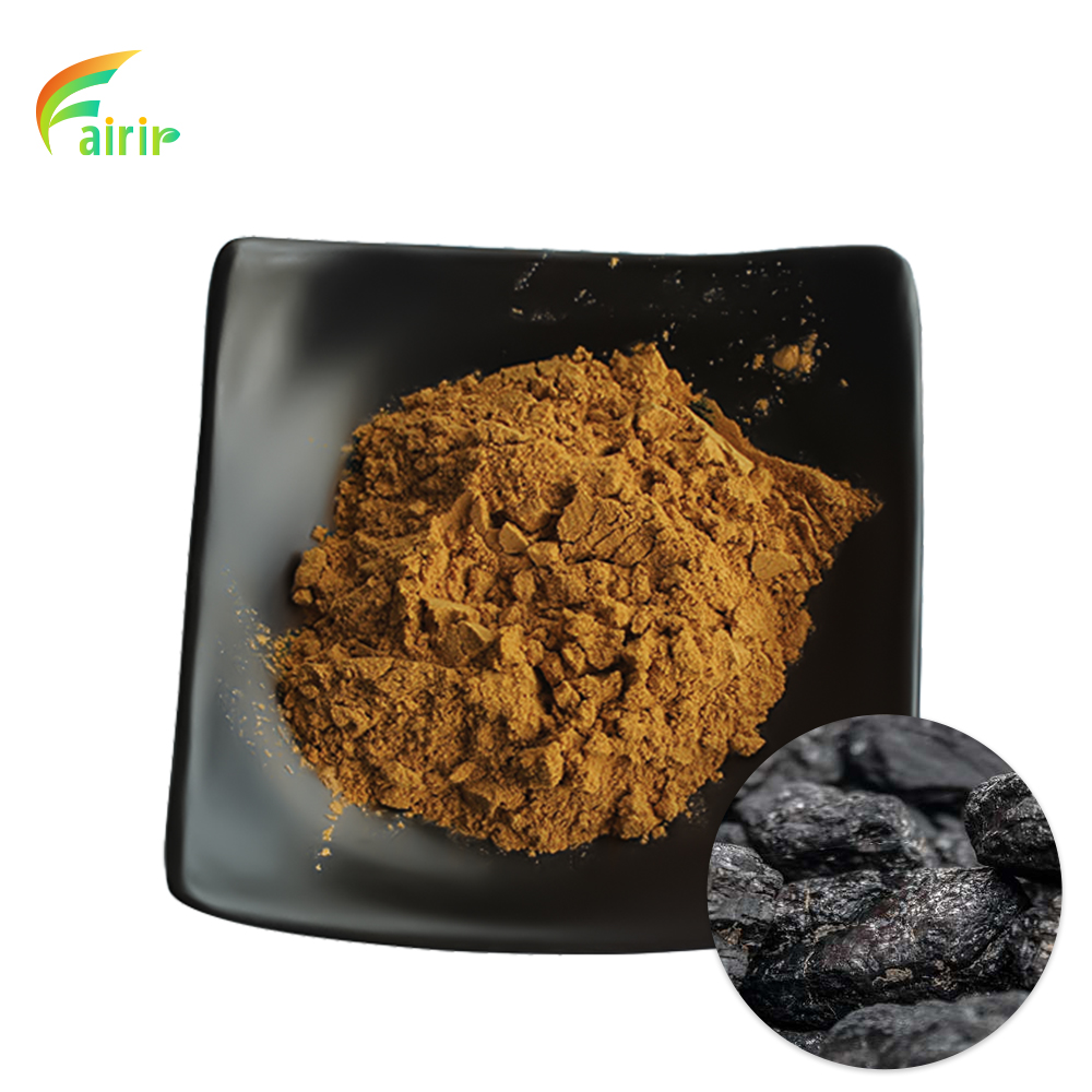 Pure Shilajit Powder