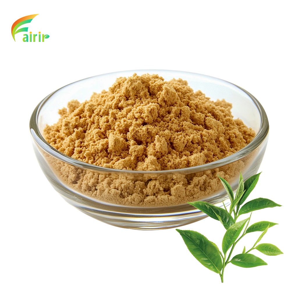Green Tea Extract Polyphenols