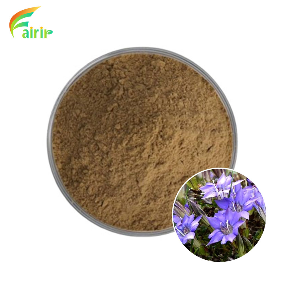 Gentian Root Extract Powder