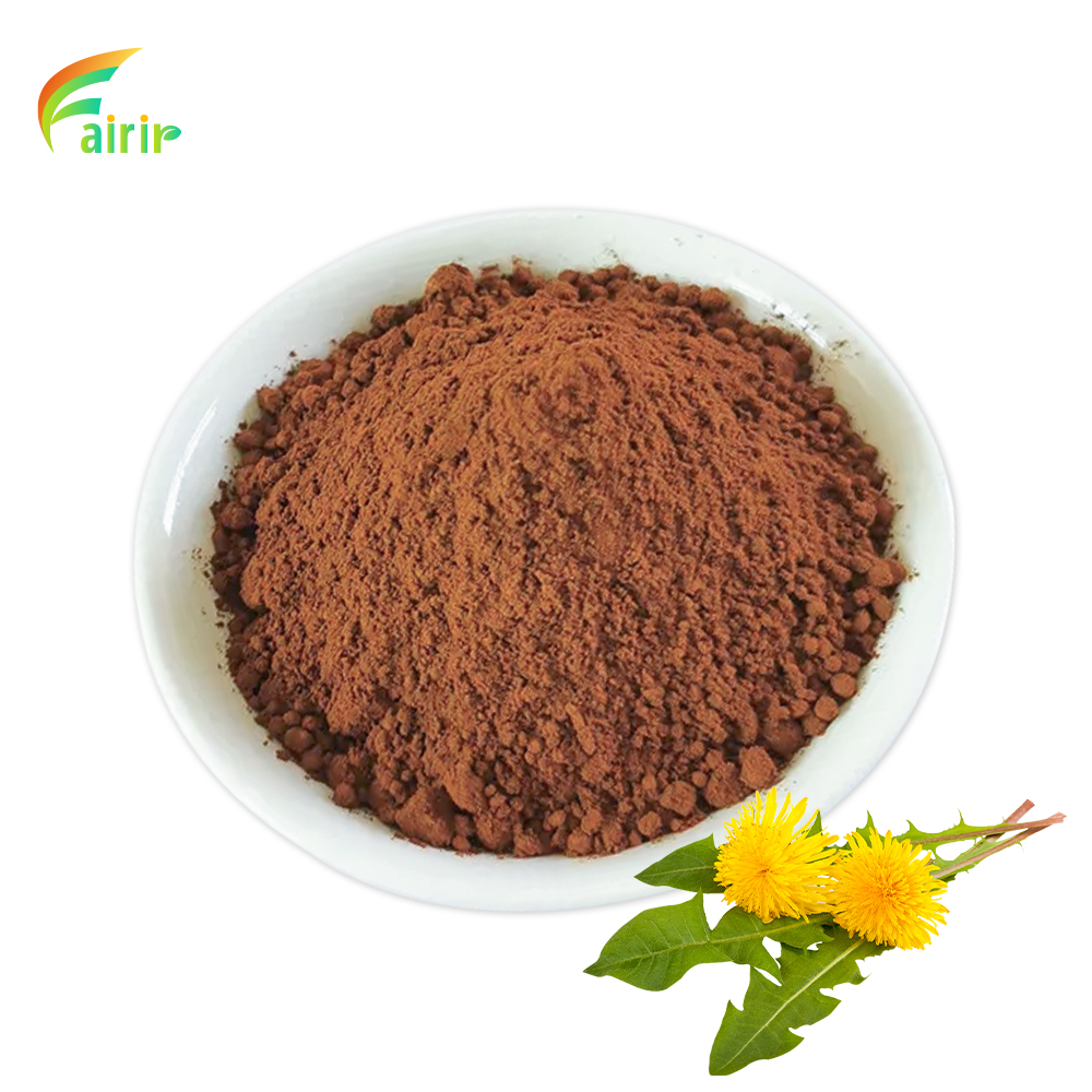 Dandelion Root Extract Powder